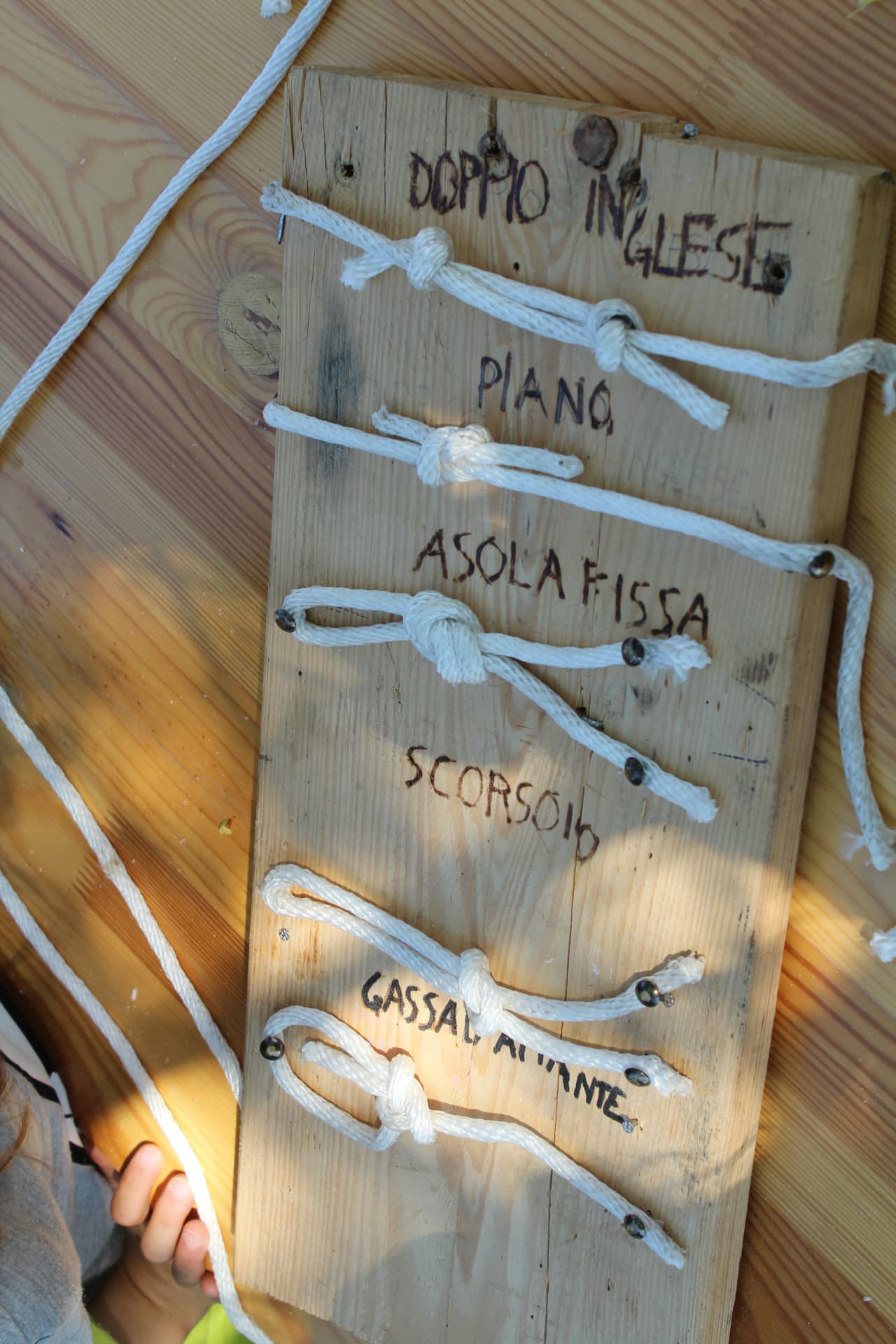 Tavola di legno con i nodi imparati durante il laboratorio