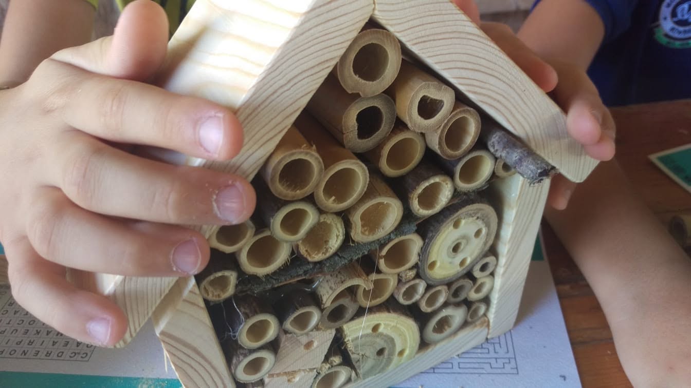 Le mani di un bambino che mostrano la casetta per le api selvatiche costruita in laboratorio