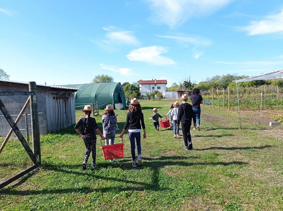 Bambini con i cappelli di paglia e i cesti rossi in cammino verso l'orto