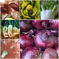 Radicchio, peperoni, finocchi e cipolle rosse dell'orto biologico